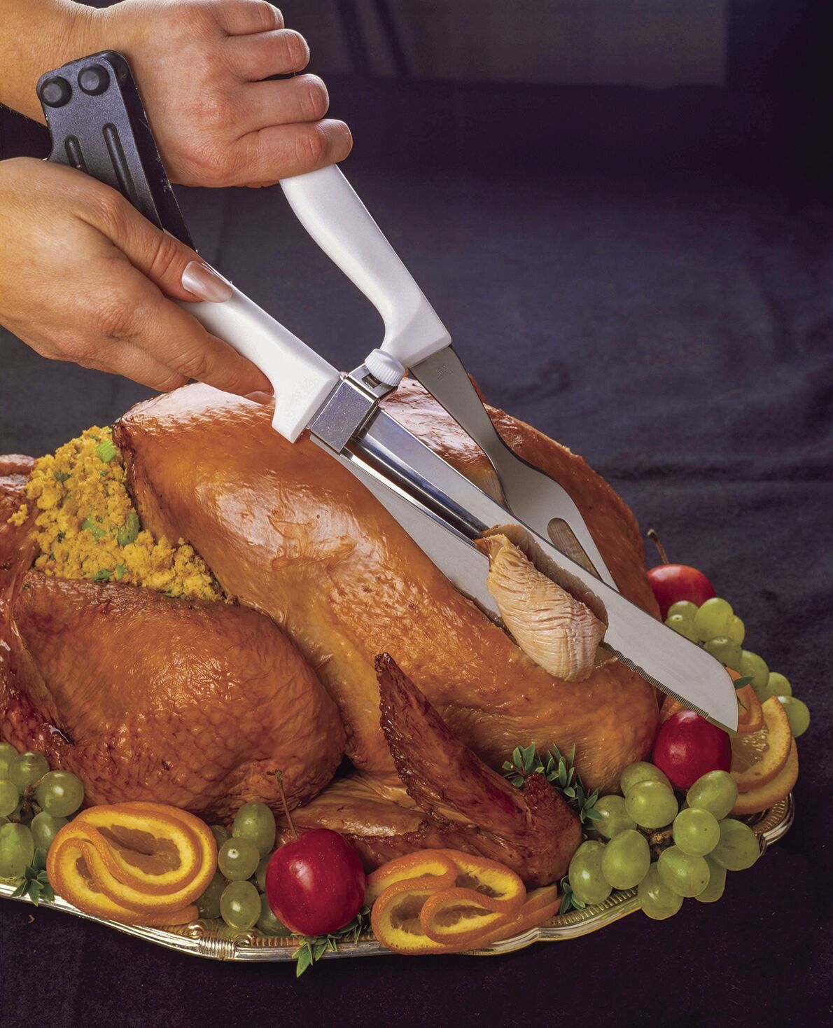 Carving Turkey Generic